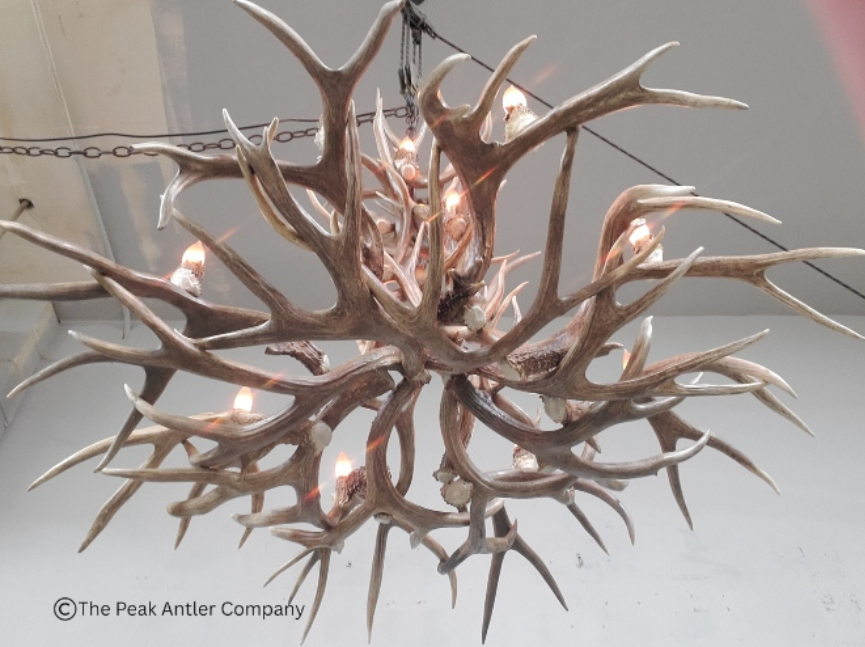 Large Deer Antler Chandelier