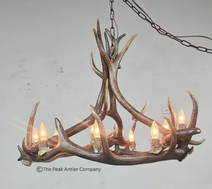 Medium Elk Antler Chandelier