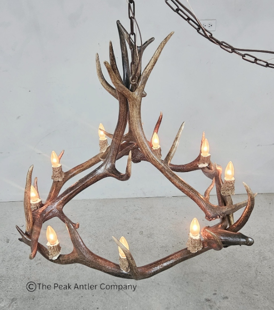 Medium Elk Antler Chandelier