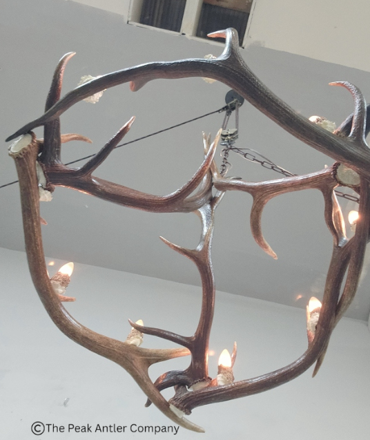 Medium Elk Antler Chandelier