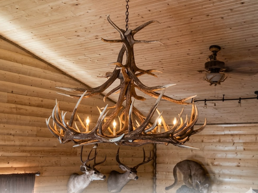 Challis Faux Elk Antler Chandelier, 60"W x 48"T