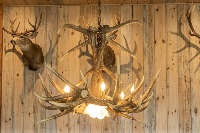 Growler Bull Oblong Faux Elk Antler Chandelier,60" L x 41"W x 30"T, 3 DL