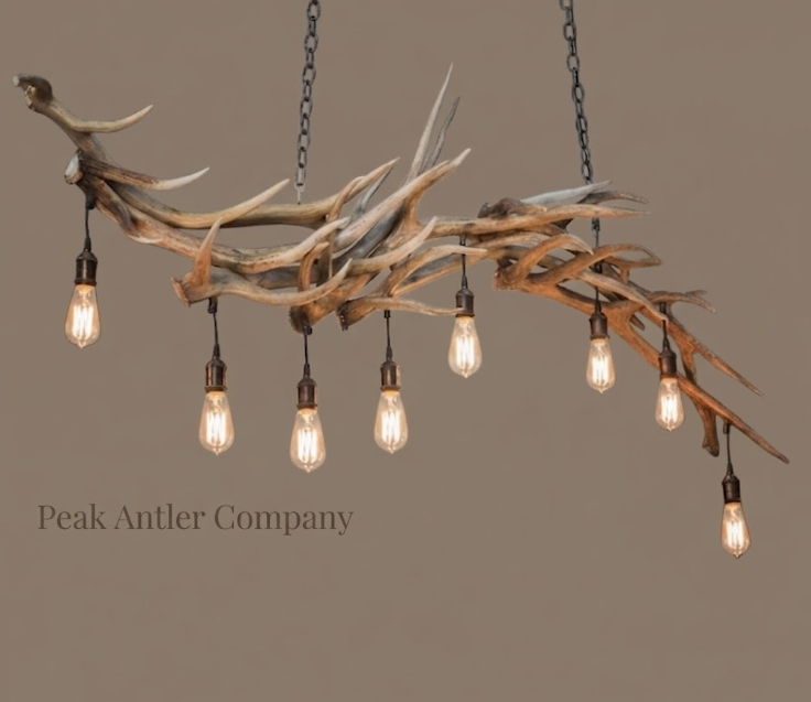 The Mexicali Elk Antler Chandelier