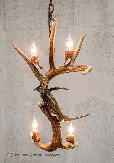 Antler chandelier with four light bulbs on a gray background