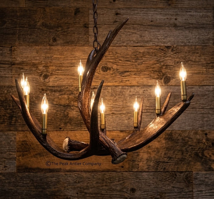 Yukon River Oval Moose Antler Chandelier