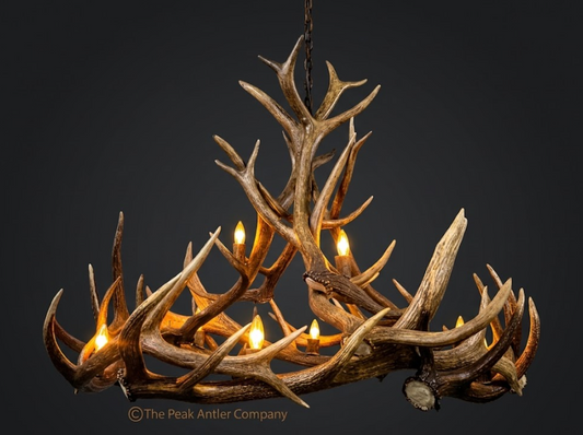 The Swan Valley Elk Antler Chandelier