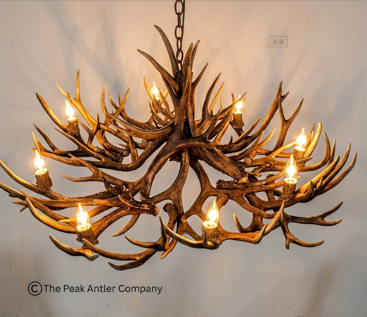The Galloway Deer Antler Chandelier