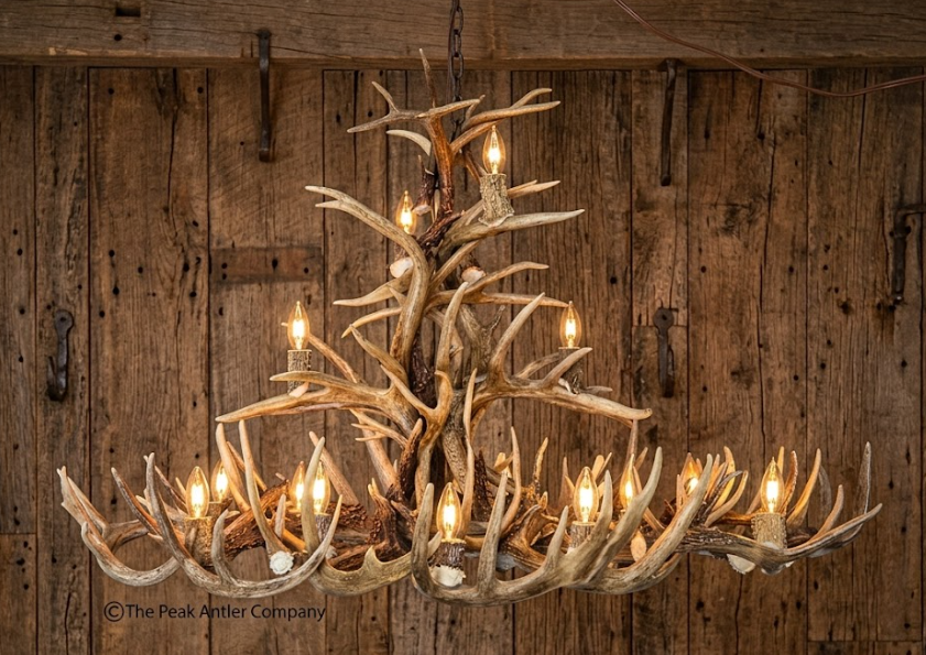 The Big Texan Oval Whitetail Deer Antler Chandelier