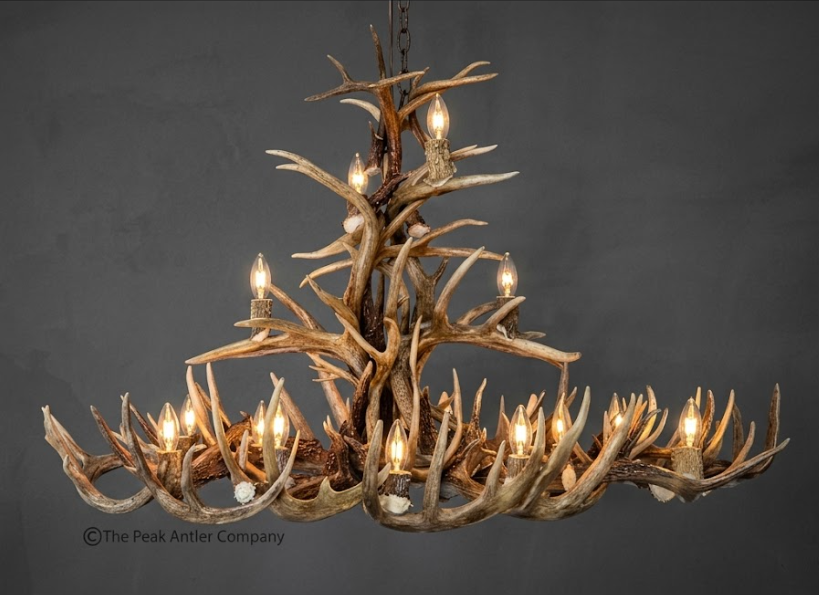 The Big Texan Oval Whitetail Deer Antler Chandelier