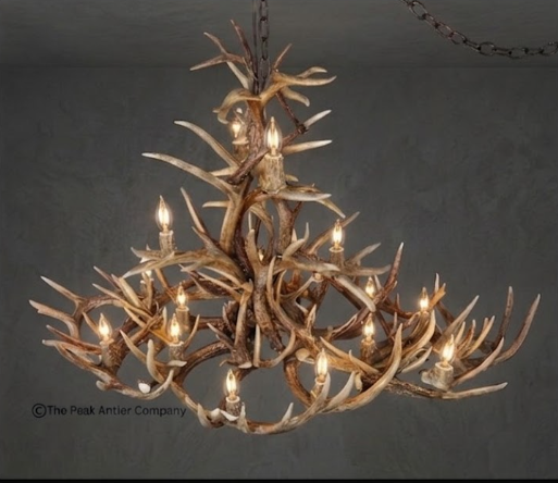The Big Texan Oval Whitetail Deer Antler Chandelier