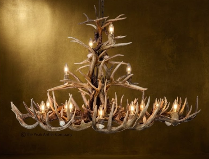 The Big Texan Oval Whitetail Deer Antler Chandelier