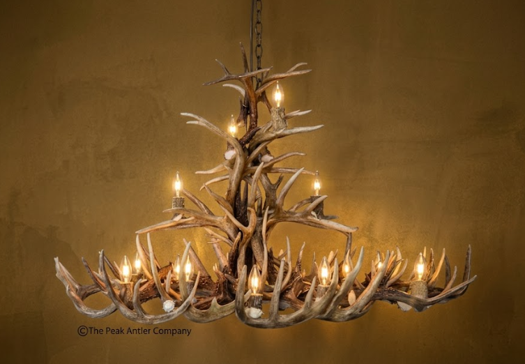 The Big Texan Oval Whitetail Deer Antler Chandelier