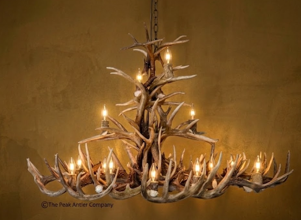 The Big Texan Oval Whitetail Deer Antler Chandelier