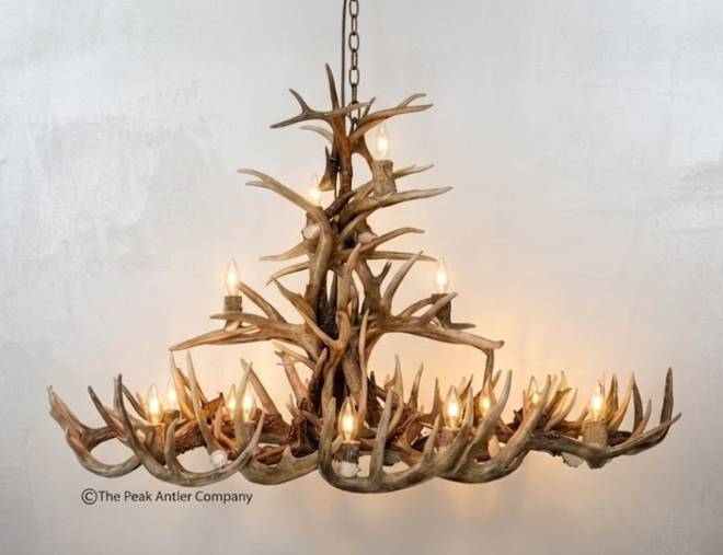 The Big Texan Oval Whitetail Deer Antler Chandelier