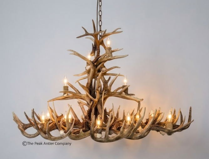 The Big Texan Oval Whitetail Deer Antler Chandelier