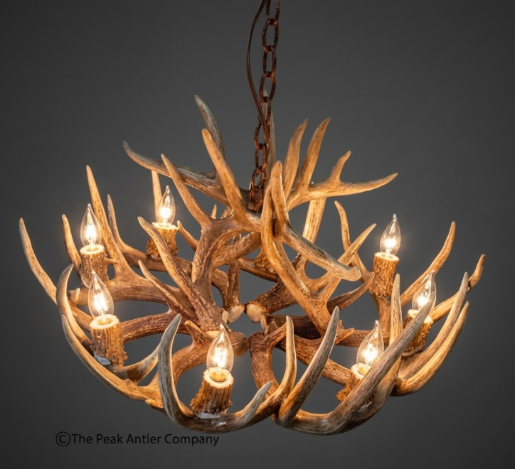 Deer Antler Chandelier