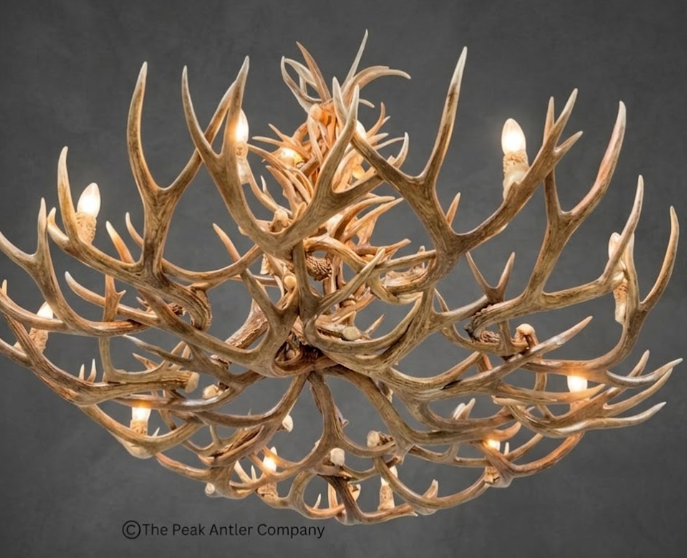 The  Matterhorn Deer Antler Chandelier