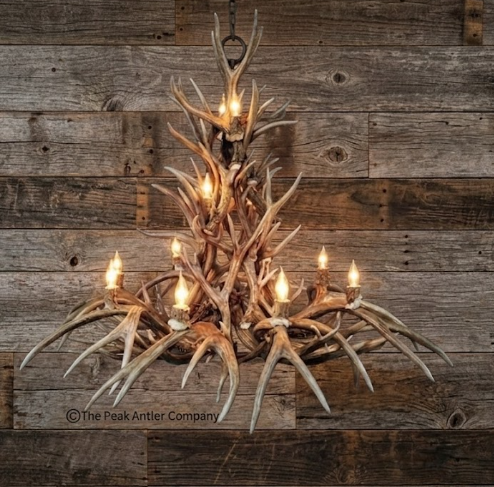 The Paloma Deer Antler Chandelier