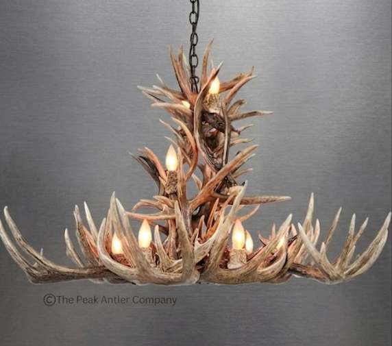 Small - Antler chandelier 