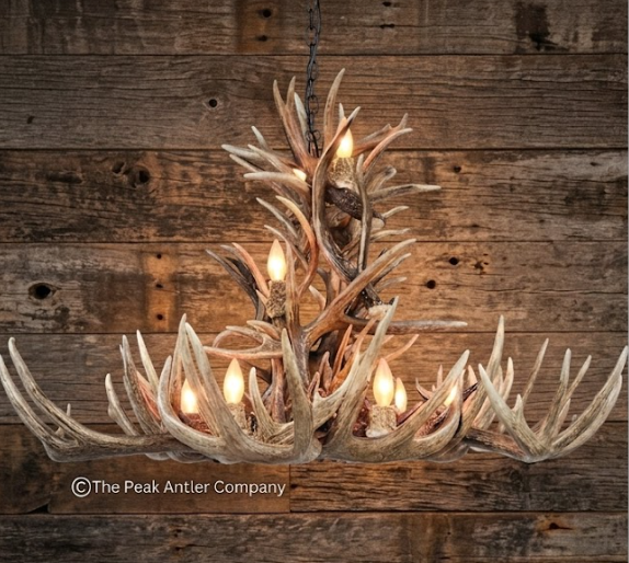 The Tetons Whitetail Deer Antler Chandelier