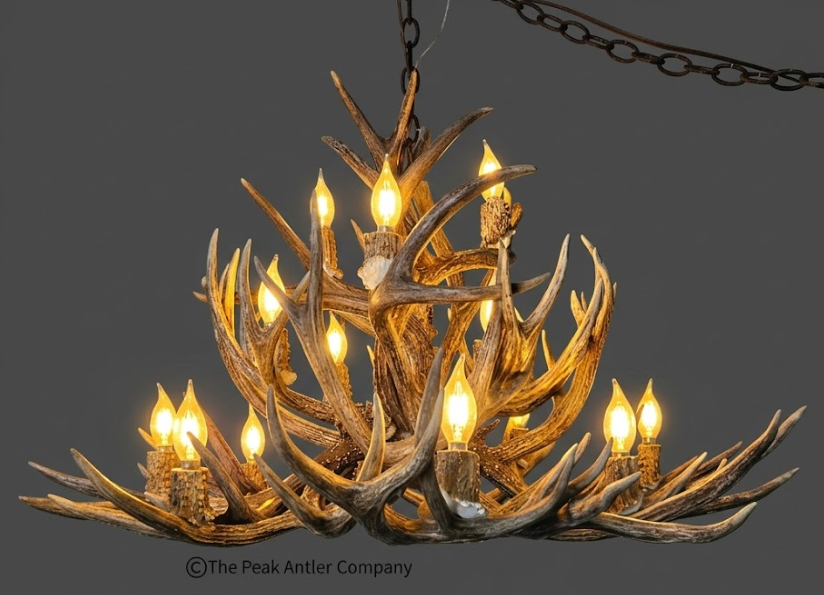 Antler chandelier 