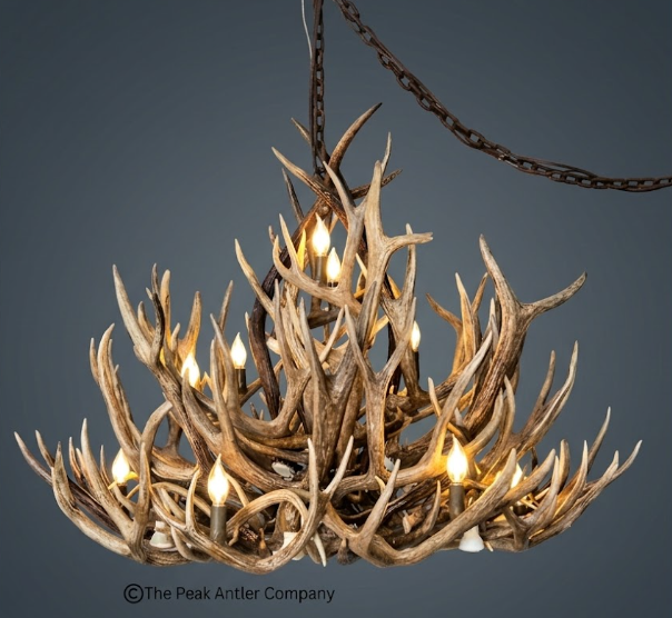 The Open Range Mule Deer Antler Chandelier