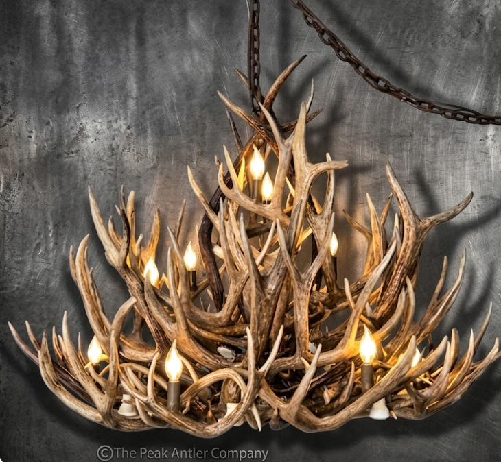 The Open Range Mule Deer Antler Chandelier
