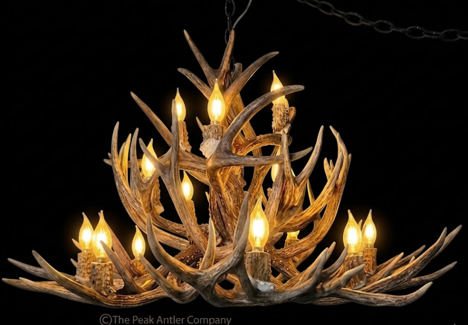 The Open Range Mule Deer Antler Chandelier