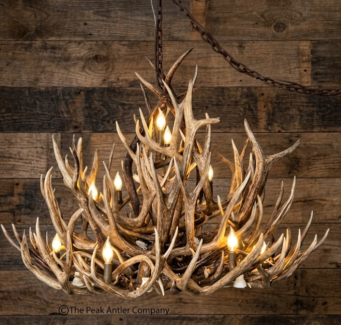 The Open Range Mule Deer Antler Chandelier
