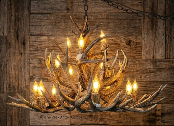 The Open Range Mule Deer Antler Chandelier