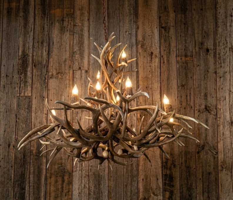 The Paloma Deer Antler Chandelier