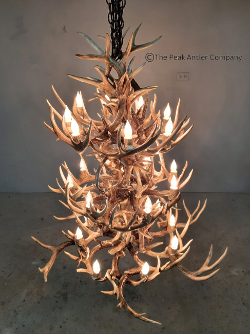 The Tetons Whitetail Deer Antler Chandelier