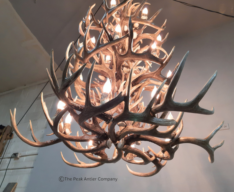 The Tetons Whitetail Deer Antler Chandelier