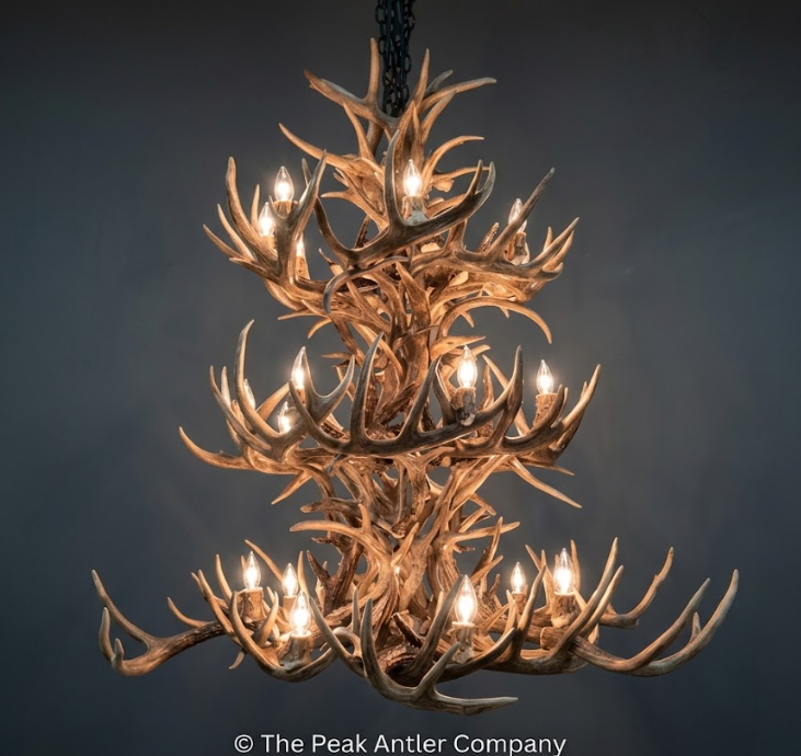 large -Antler chandelier