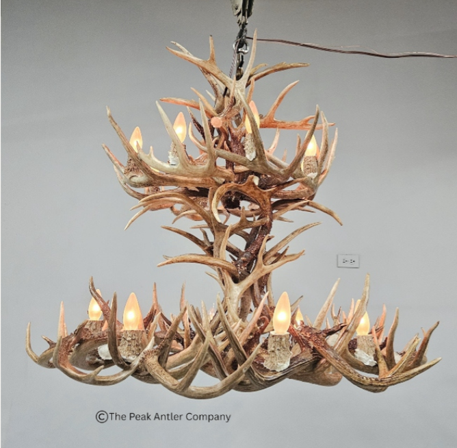 The Tetons Whitetail Deer Antler Chandelier