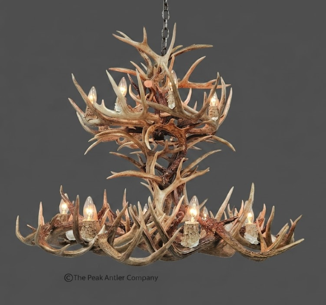 medium Antler chandelier 