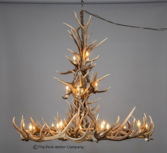 72 x 72" - 24 lights- Antler chandelier 