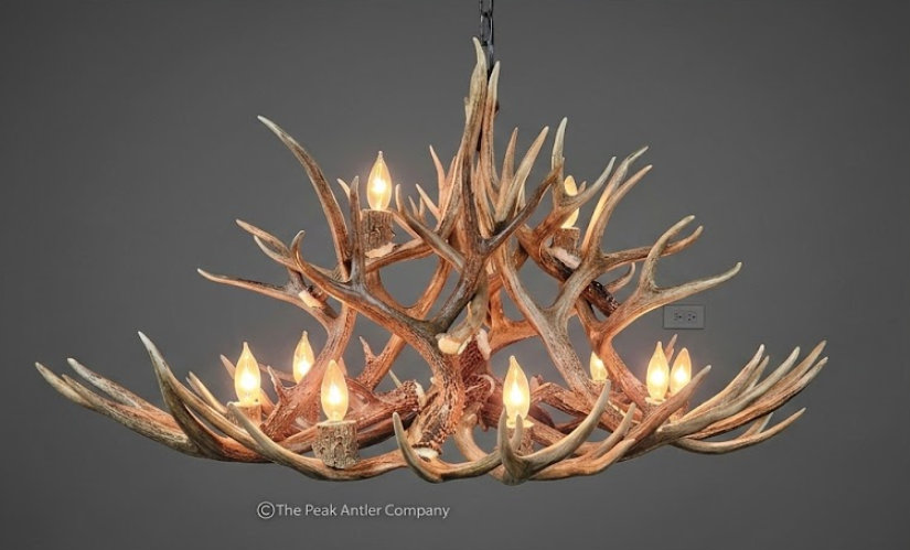 Oval Antler chandelier 