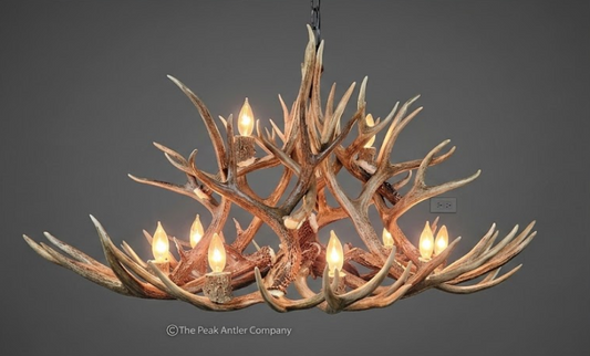 Oval Antler chandelier 