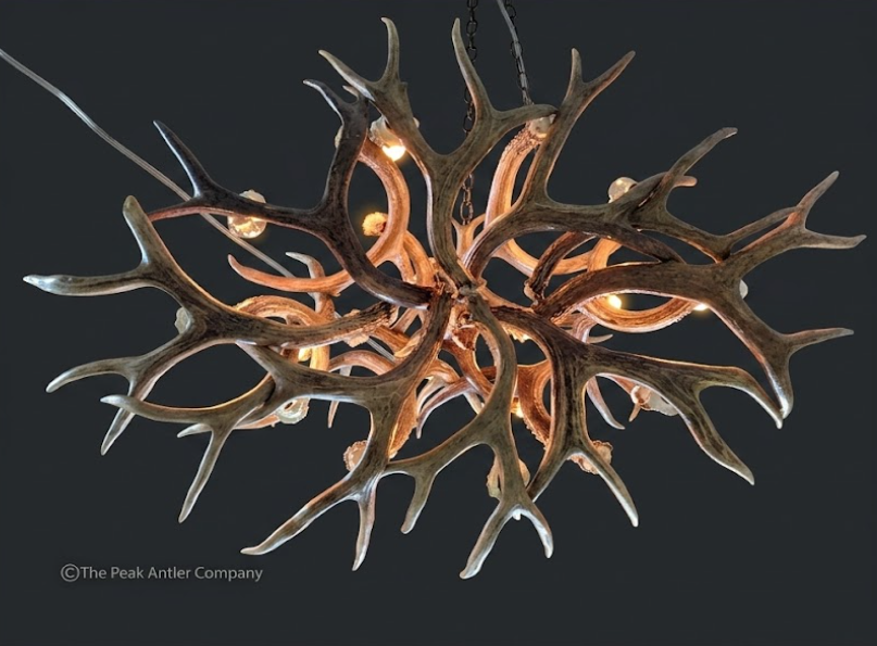 Oval Antler chandelier 