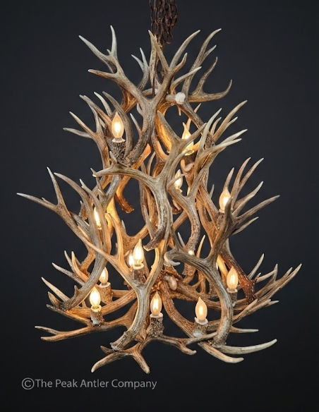 Large Round Antler chandelier 