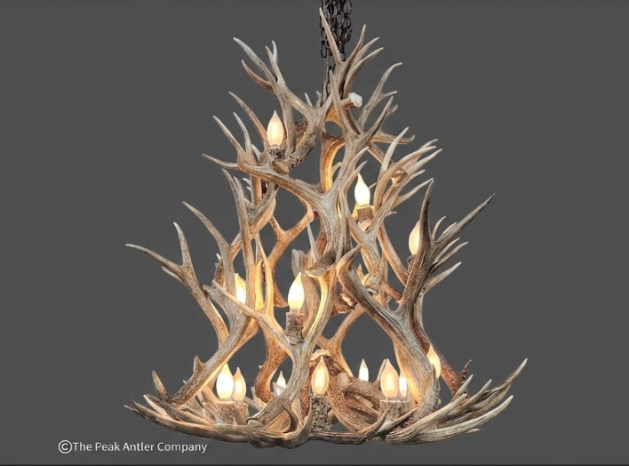 Large Round Antler chandelier 
