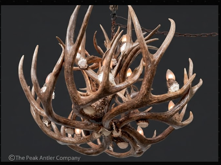 Round Antler chandelier 