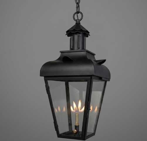 The Bird of Paradise Copper Lantern Pendant Light
