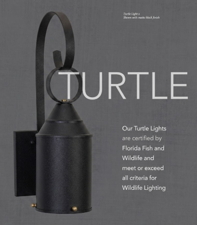 Copper Turtle Lights