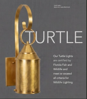 Copper Turtle Lights