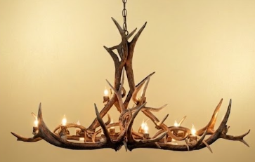 Oval Deer Antler chandelier on a beige background
