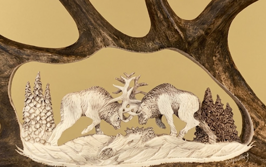 Rut Wars Antler Carving Moose or Caribou Antler