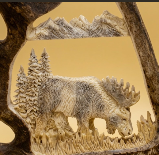 Moose browsing for food carving with tan background.