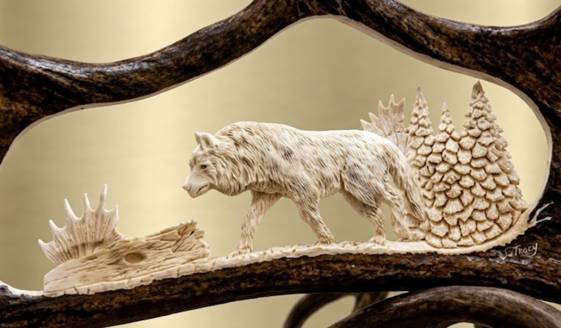 Lone wolf individually hand crafted on a moose antler.